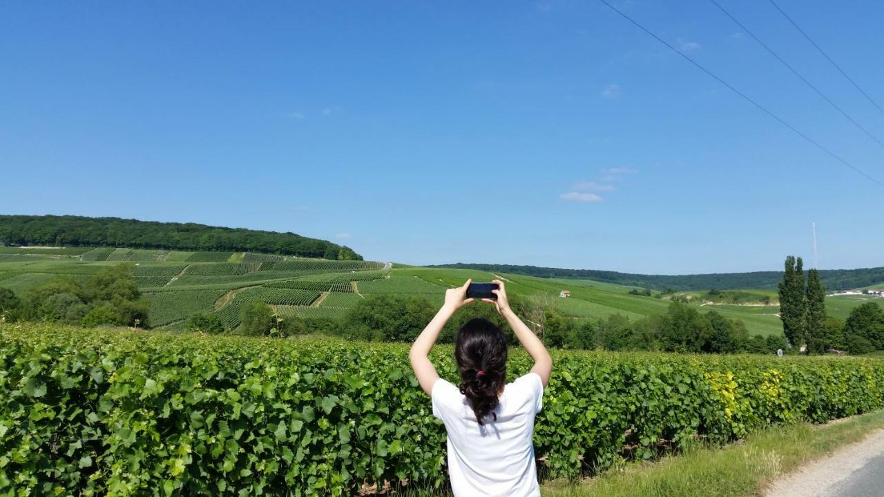 Appartamento La Mignonette Épernay Esterno foto